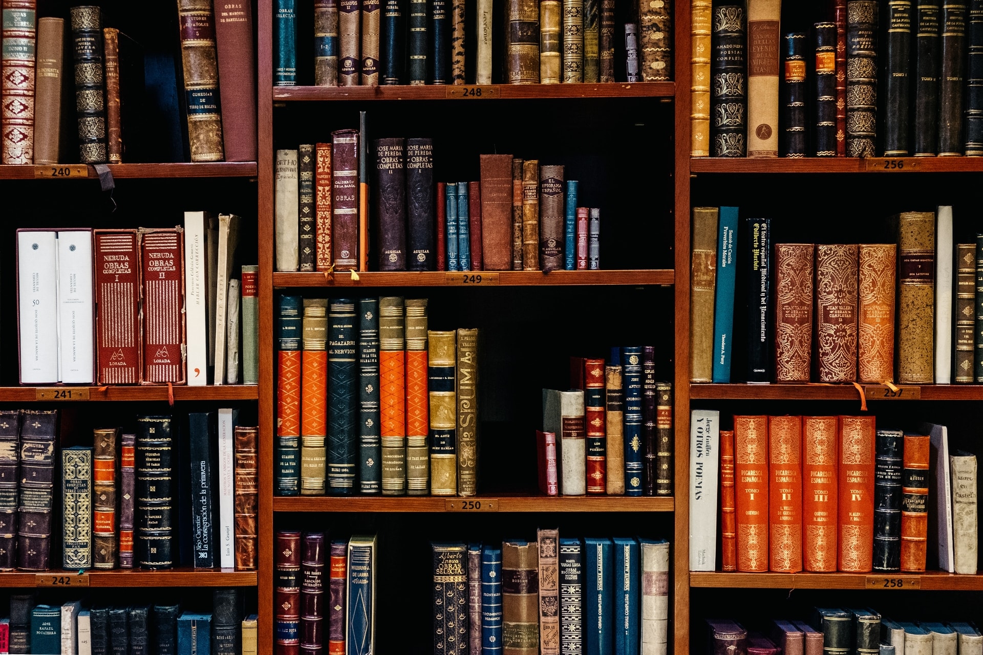 Books on bookshelf